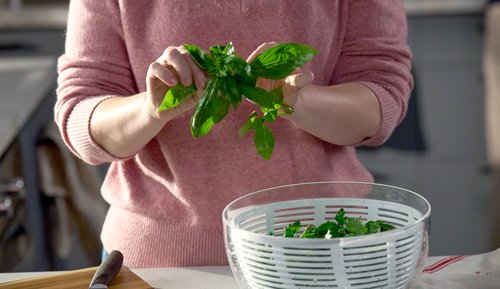 Hands holding herbs in kitchen setting